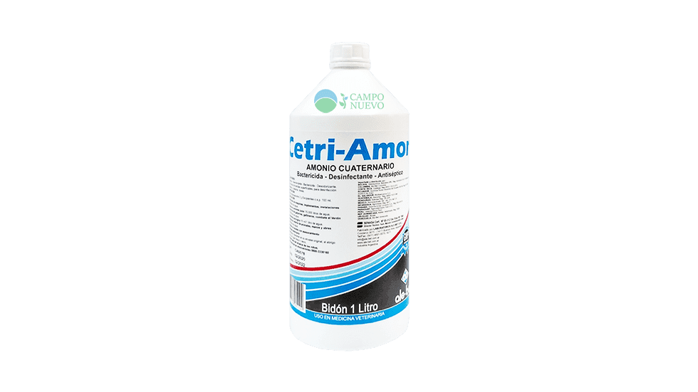 Cetri-Amon