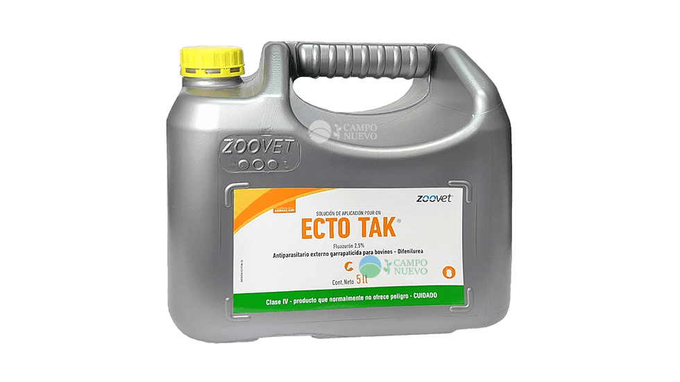 Ecto Tak