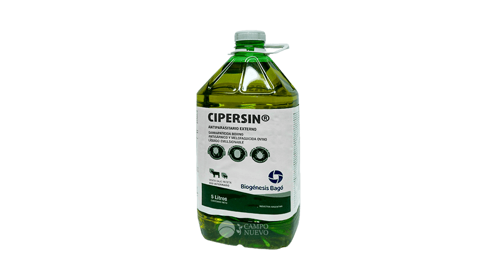 Cipersin