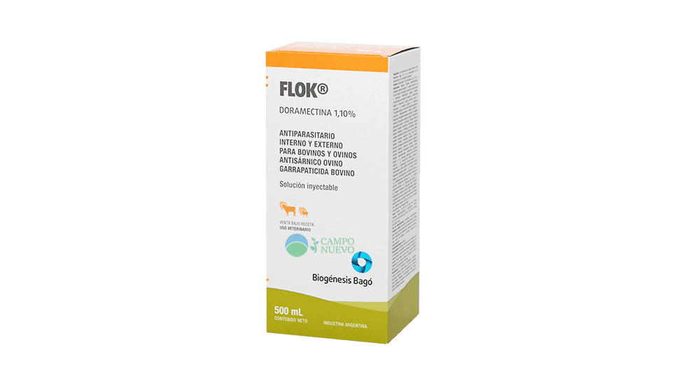 Flok