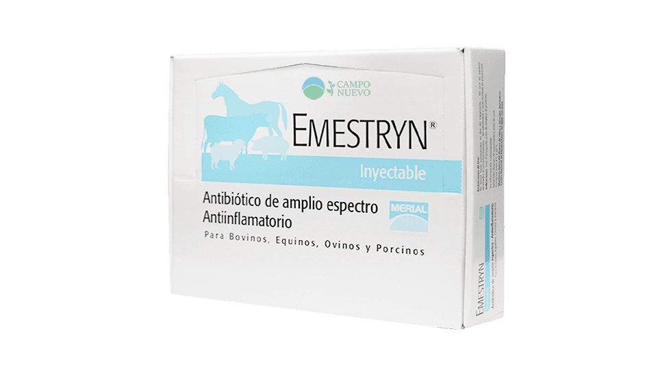 Emestryn