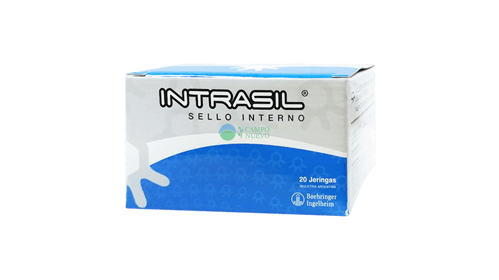 Intrasil Sellador