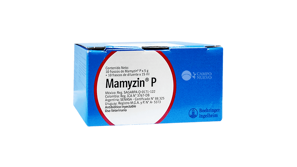 Mamyzin P