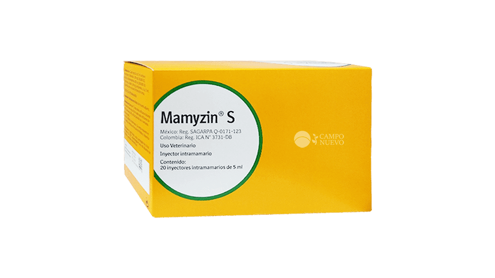 Mamyzin S