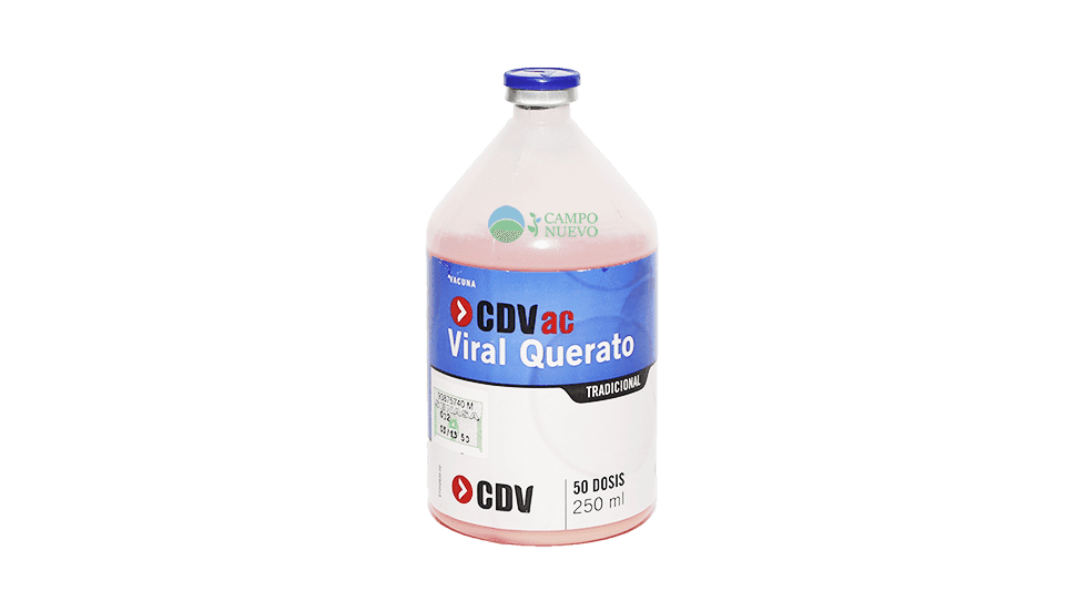 Viral Querato