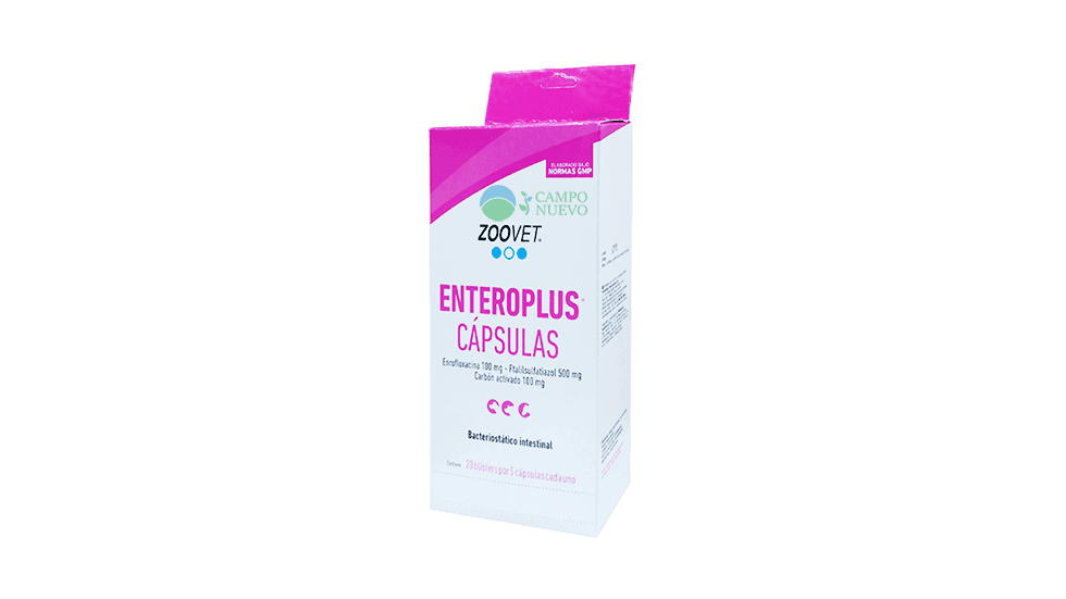 Entero Plus Capsulas