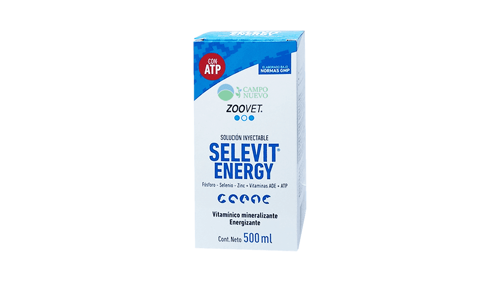 Selevit Energy
