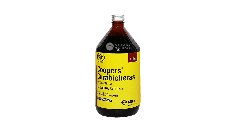 Curabicheras Coopers
