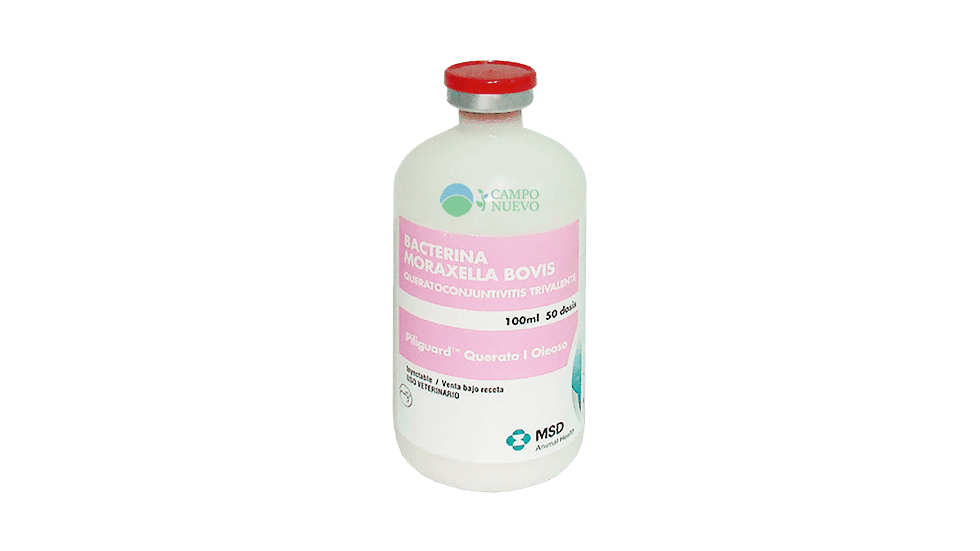 Piliguard Moraxella bovis trivalente