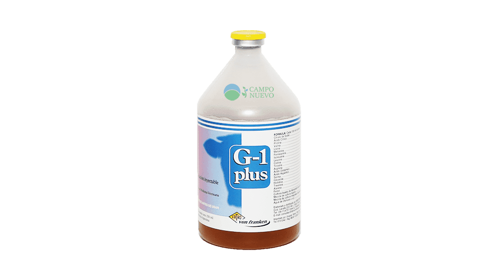 G1 plus