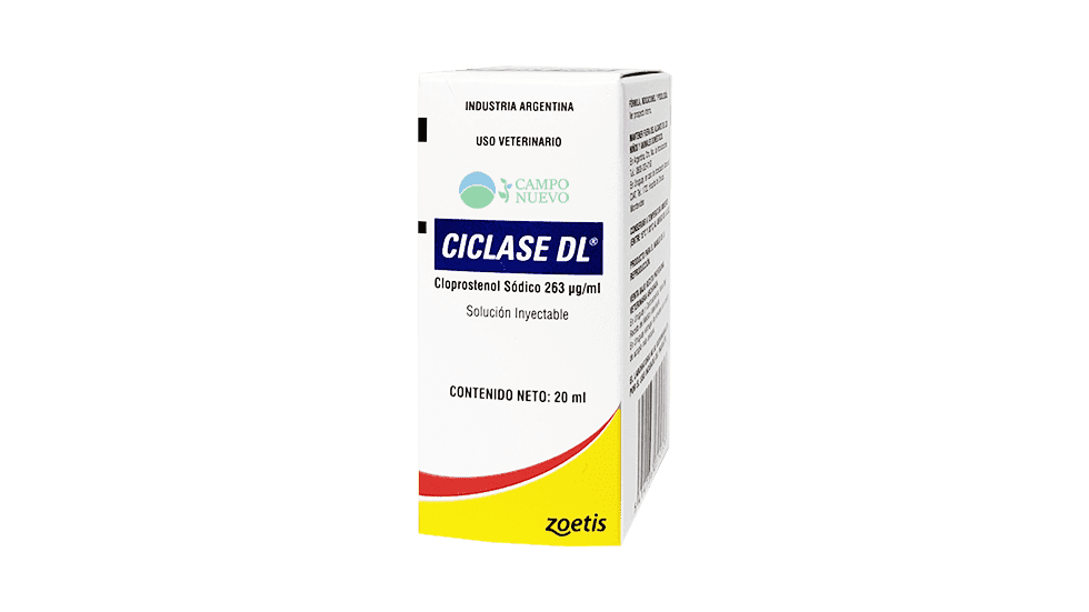 Ciclase DL