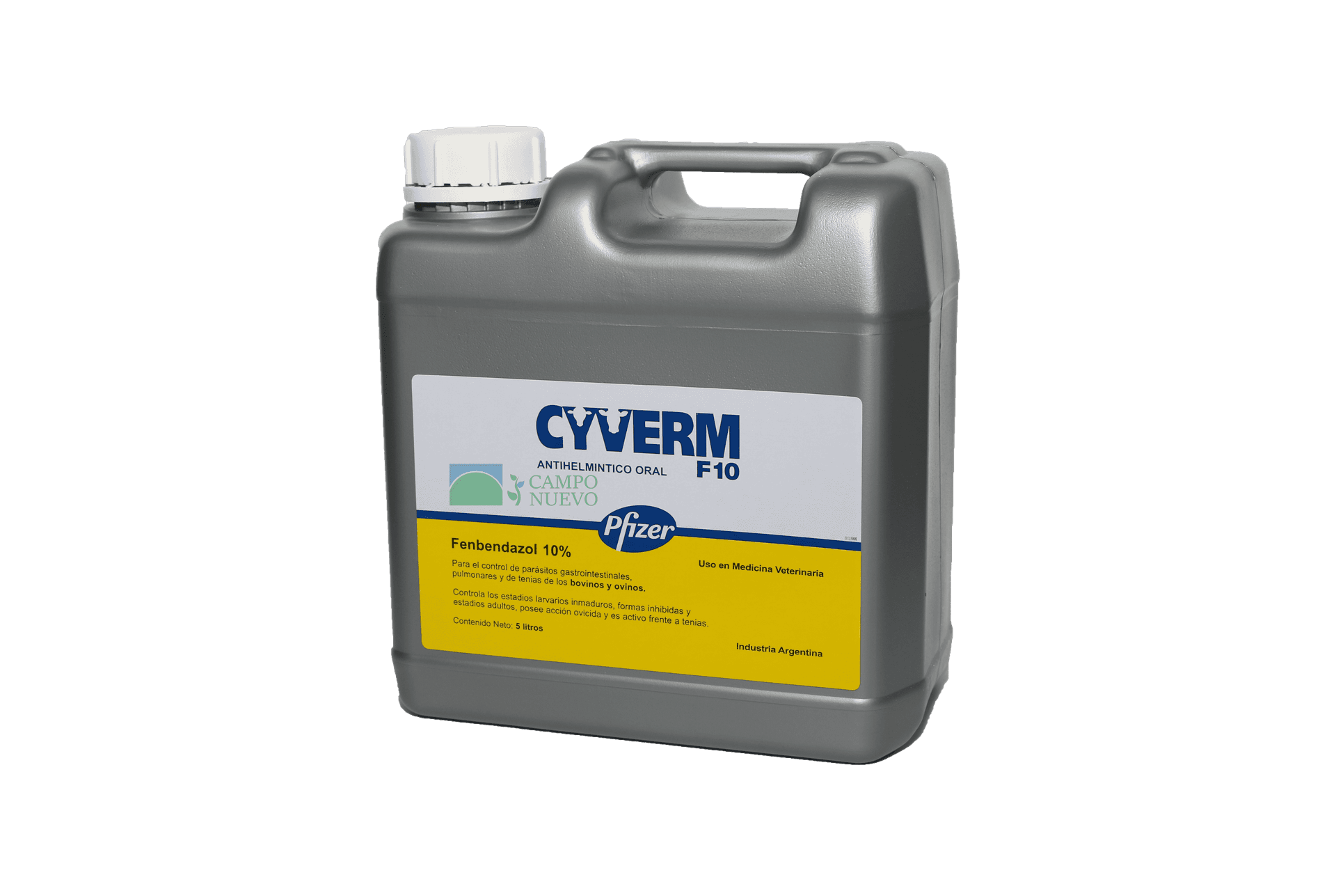 Cyverm F-10