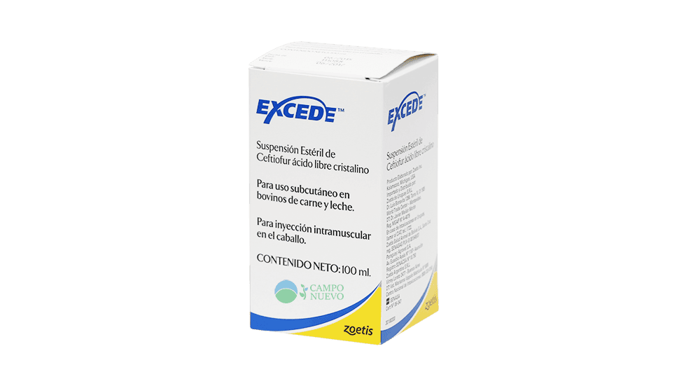 Excede Cattle
