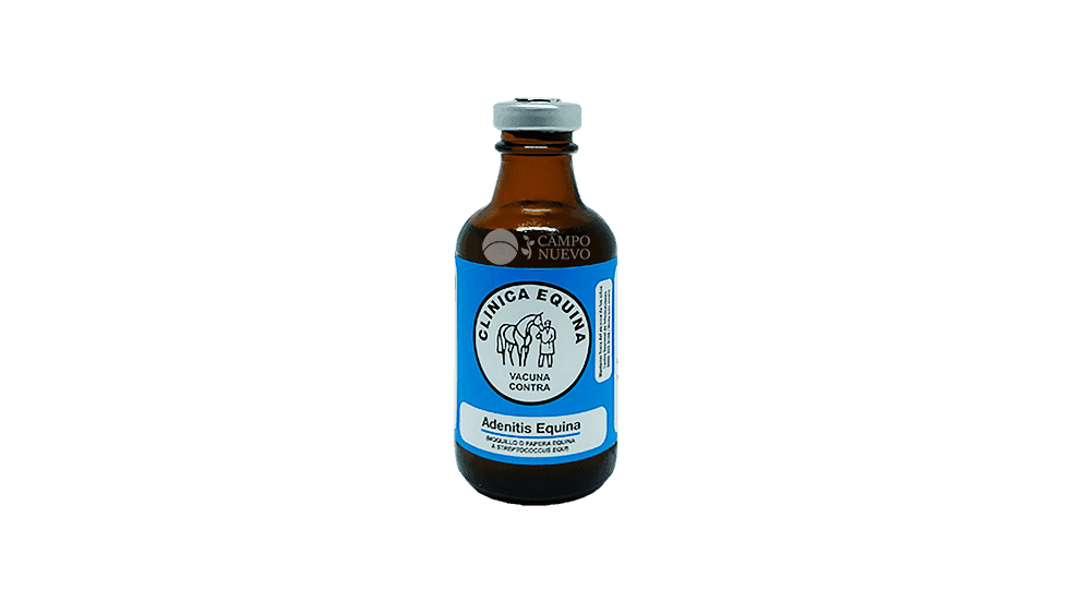 Adenitis Equina Clinica Equina
