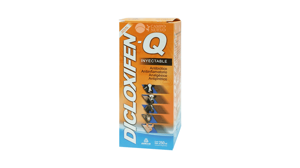 Dicloxifen Q Ario Q
