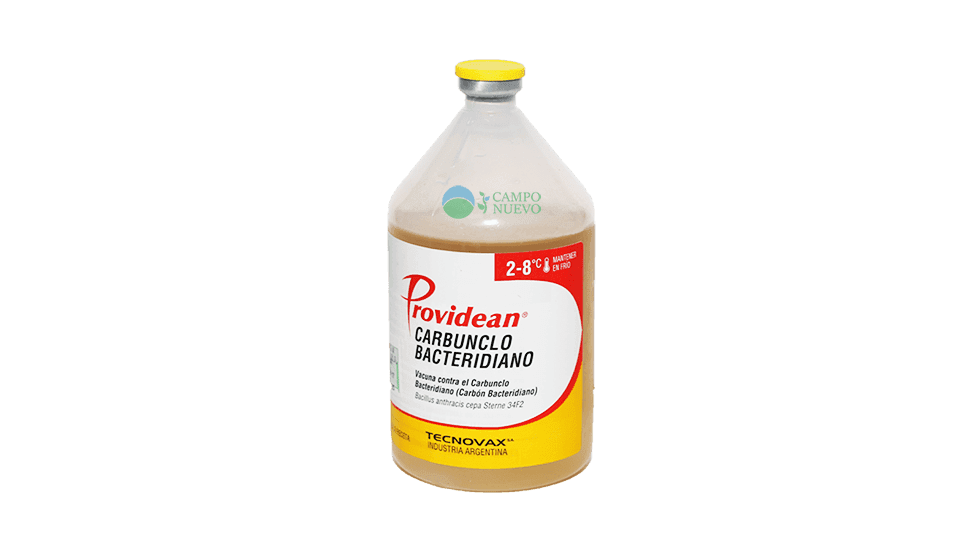 Carbunclo