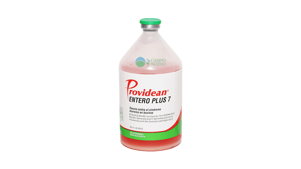Entero Plus 7 Diarrea Neonatal