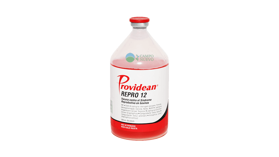 Repro 12