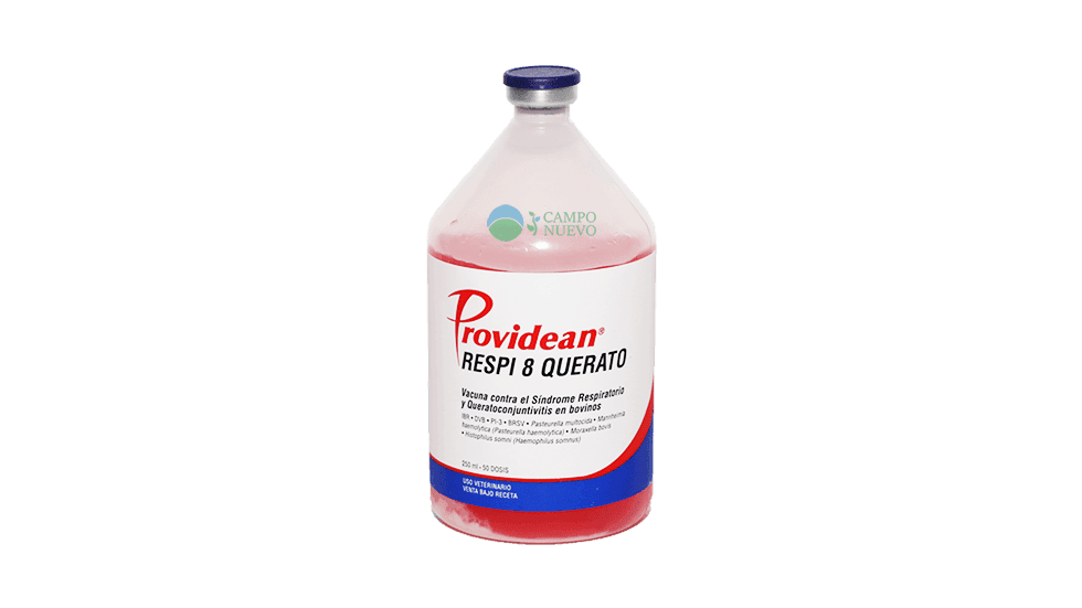 Respi 8 Querato