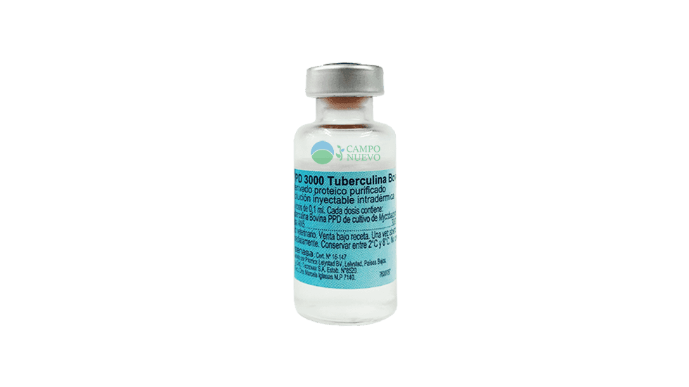 Tuberculina