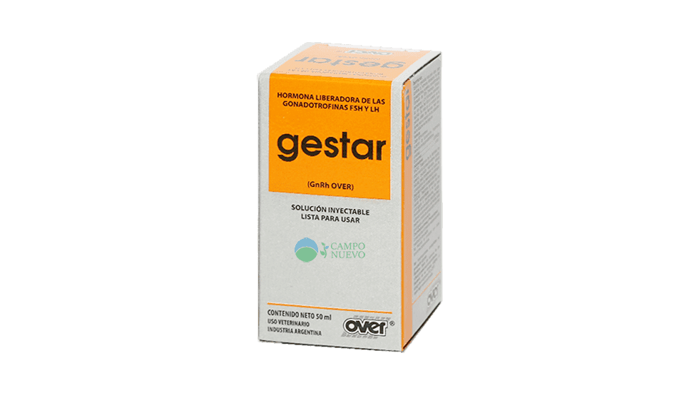 Gestar