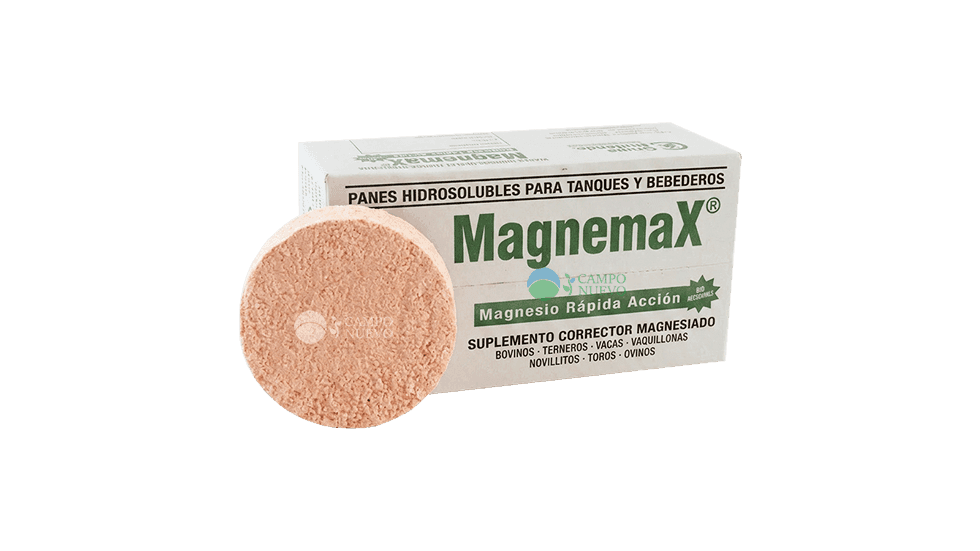 Piedra Magnesio hidrosoluble Magnemax