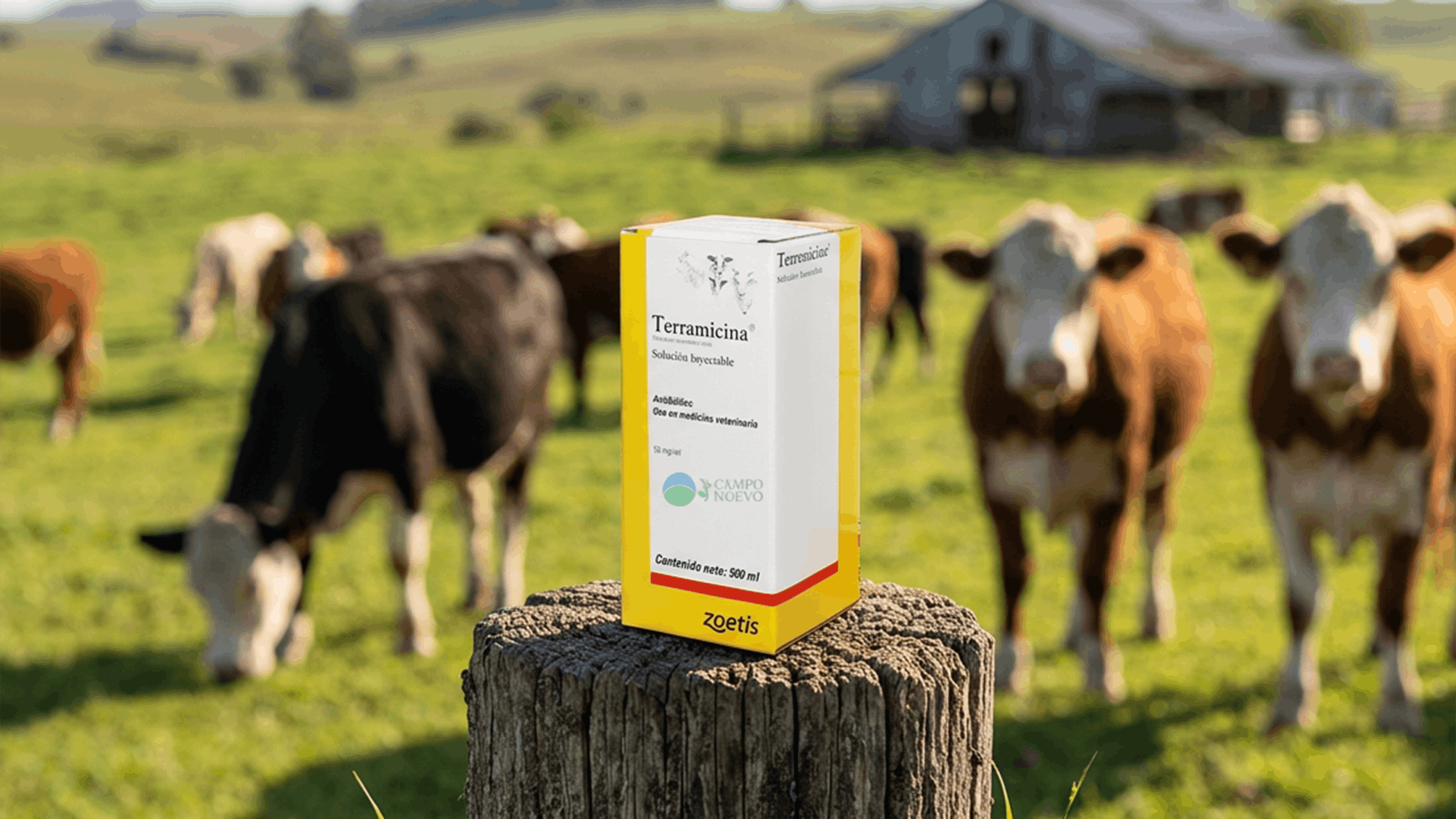 Terramicina Solución Zoetis: el antibiótico de amplio espectro