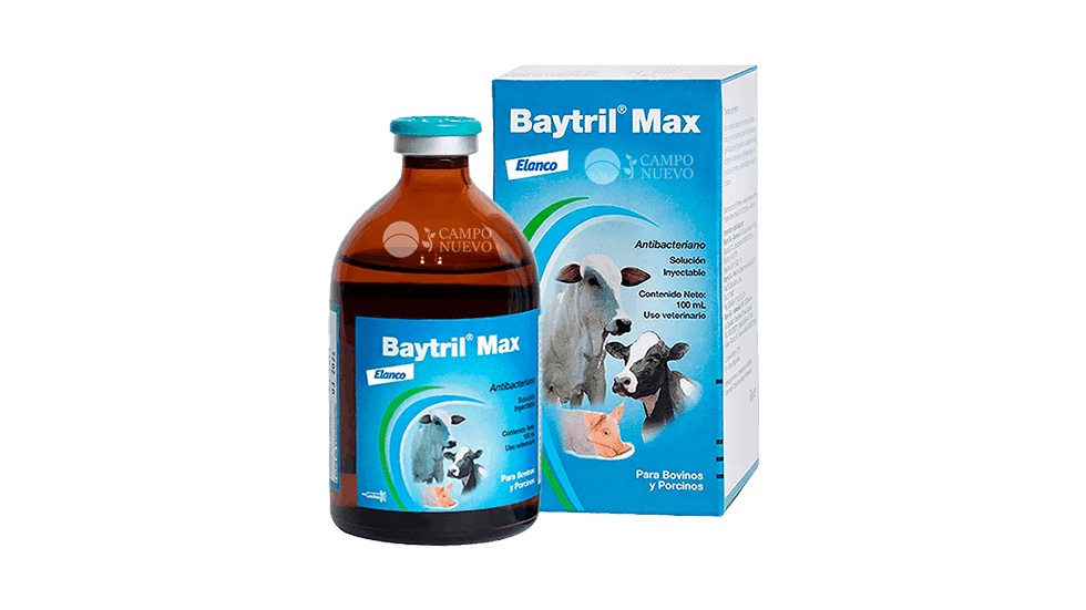 Baytril Max